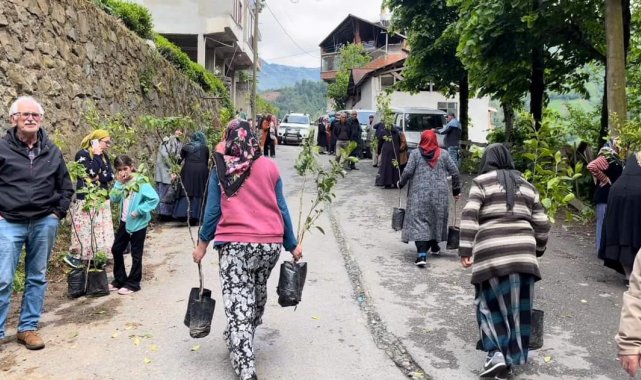 Çamlıhemşin'de bin meyve fidanı ve 300 ata tohumu dağıtıldı
