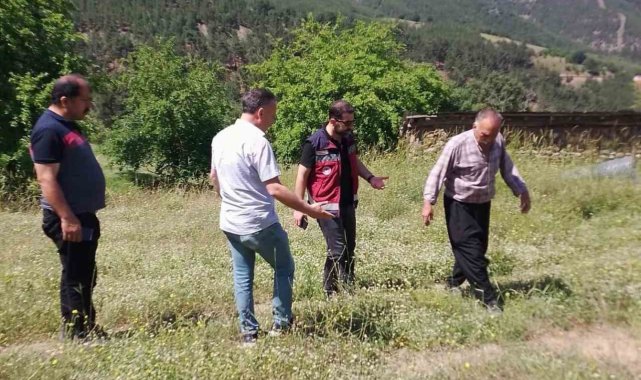 Çekirge ile mücadele başlatıldı