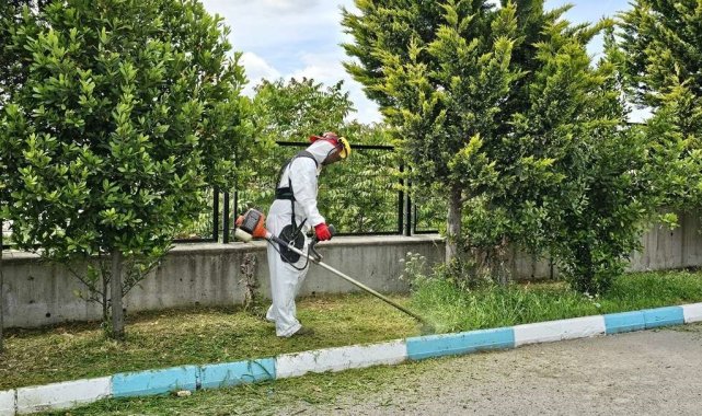 Dilovası'nda yaz temizliği başladı
