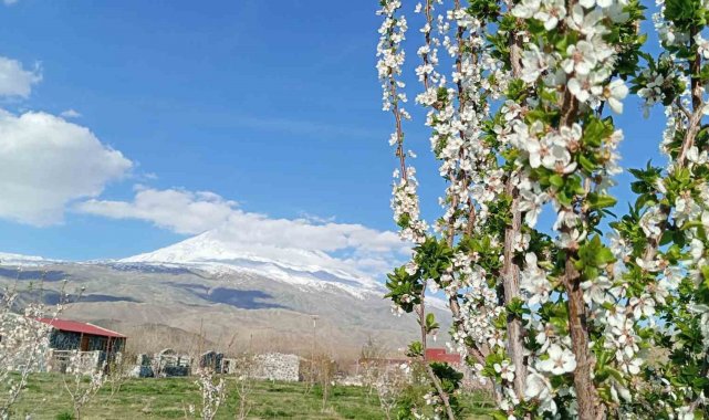 Doğubayazıt'ta 5 bin meyve ağacının bulunduğu bahçe bungalov evleri ile turistleri ağırlıyor
