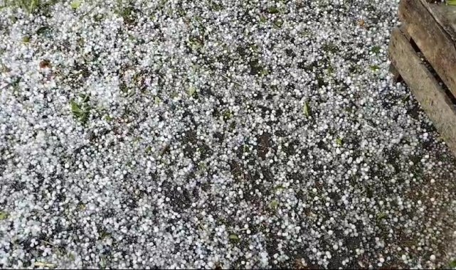 Dolu yağışı meyve ağaçları ve ekili arazilere zarar verdi