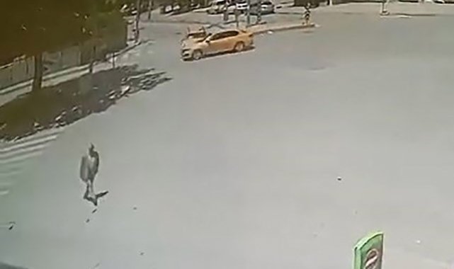 Elazığ'da trafik kazası: 2 yaralı
