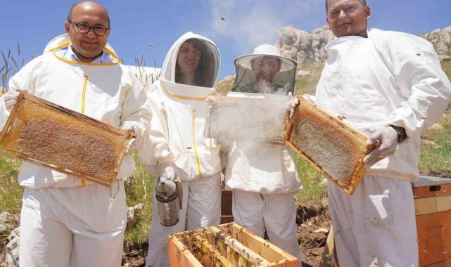 Erzincan'da 100 bin üzeri kolonide 1 milyon kilogram bal üretiliyor