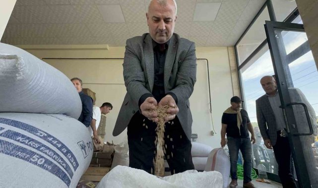Faydaları saymakla bitmeyen pirinç şöhret yolunda