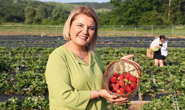 Hasadı yapılacaktı, belediyeye hırsızlık şoku