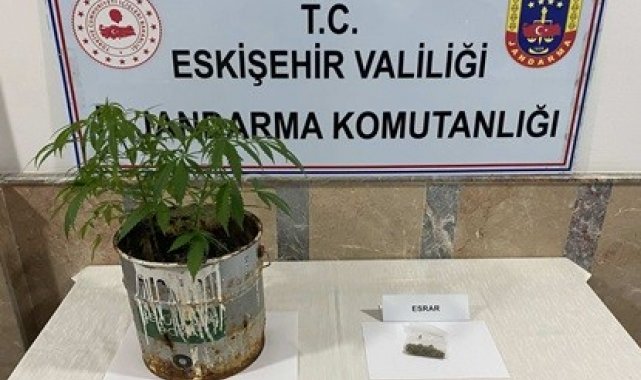 Jandarma ekiplerinin 9 farklı uyuşturucu operasyonunda 20 şüpheli yakalandı