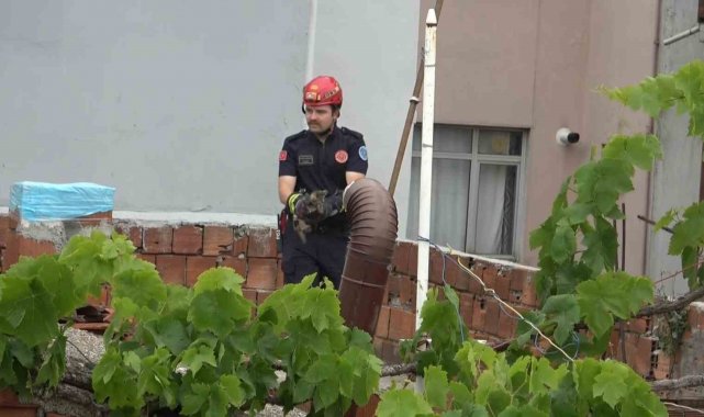 Kedi kurtarma operasyonu kamerada
