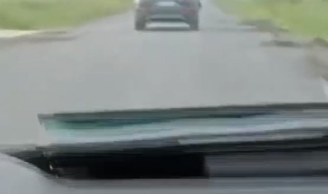 Kırklareli'nde 12 kaçak göçmen yakalandı