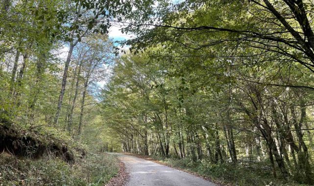 Kırklareli'nde ormanlara giriş 177 gün süreyle yasaklandı