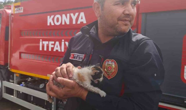 Konya'da otomobilin motoruna sıkışan kedi kurtarıldı