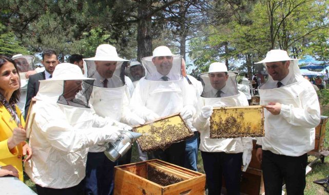 Kovanda arı, Yığılca'da hayat var