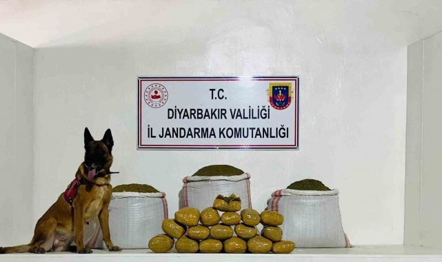 Lice'de 76 kilo toz esrar ele geçirildi