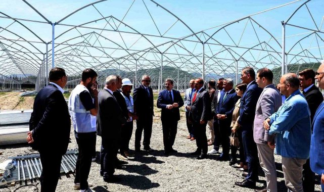 Meyve ve sebze sektöründe Samsun ve İzmir iş birliği