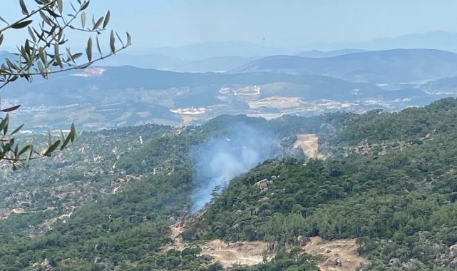 Milas'taki orman yangını büyümeden söndürüldü