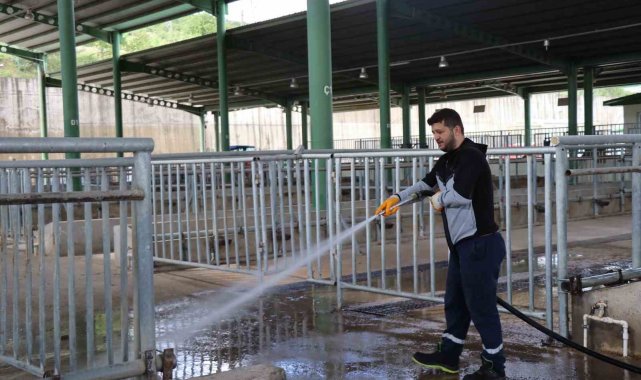 Modern Hayvan Pazarı Kurban Bayramı'na hazırlanıyor