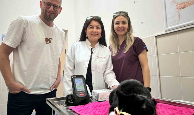 OMÜ Hayvan Hastanesinde 'düşük doz lazer tedavi' hizmeti