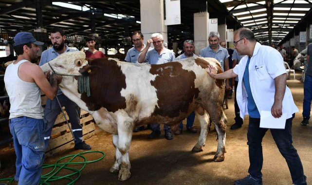 Osmangazi Belediyesi Kurban Bayramına hazır