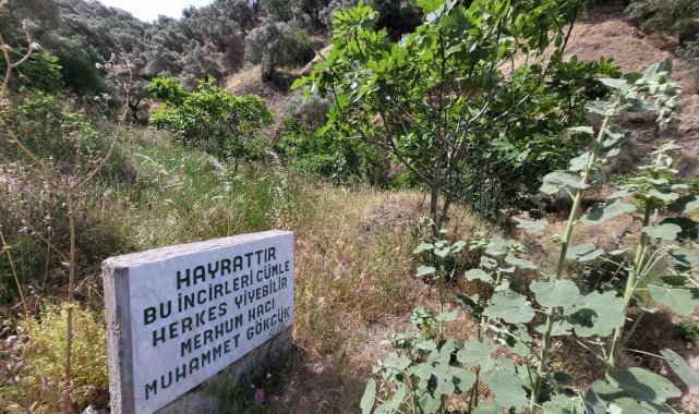 Paylaşmanın önemini gösteren yazı görenlerin içini ısıttı