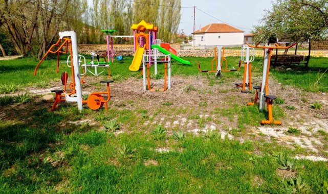Pınarbaşı'nda başıboş köpekler toplanacak
