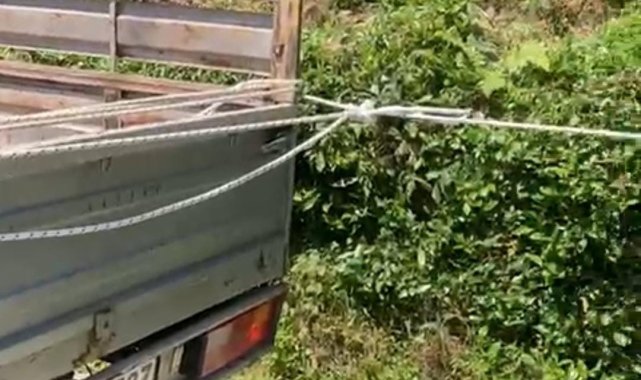 Rizeli'nin çay taşıma yöntemi ilgi çekti