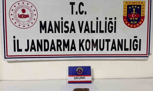 Salihli'de şüpheliden Skunk ele geçirildi