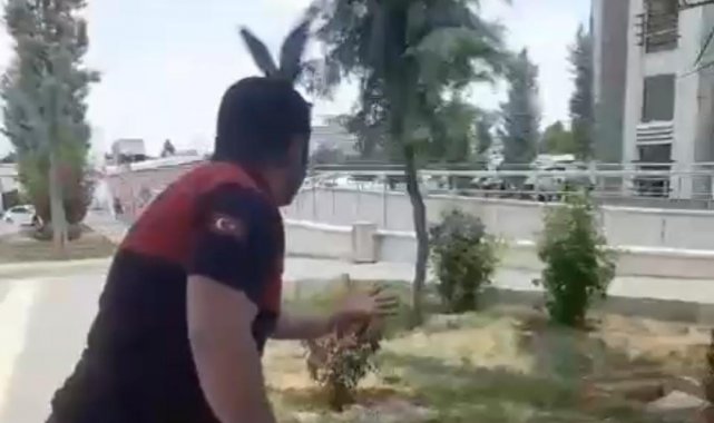 Şanlıurfa'da demir kolonda mahsur kalan güvercin kurtarıldı