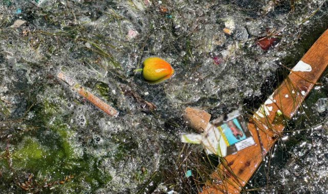 Sarıyer'de deniz kirliliği vatandaşları isyan ettirdi: "Kıyıya vuran çöpler Sarıyer'in en büyük sorunlarından bir tanesi"