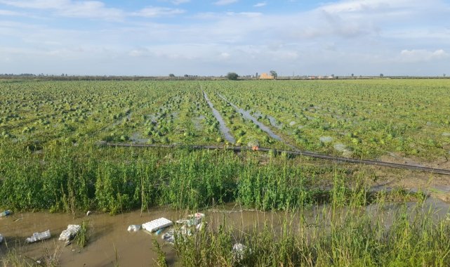 Tarsus'ta sağanak ve dolu tarım arazilerine zarar verdi