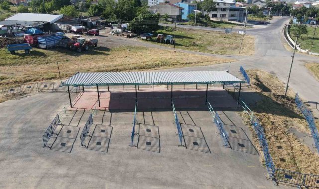 Tekirdağ'da kurbanlık satış alanları bayrama hazır