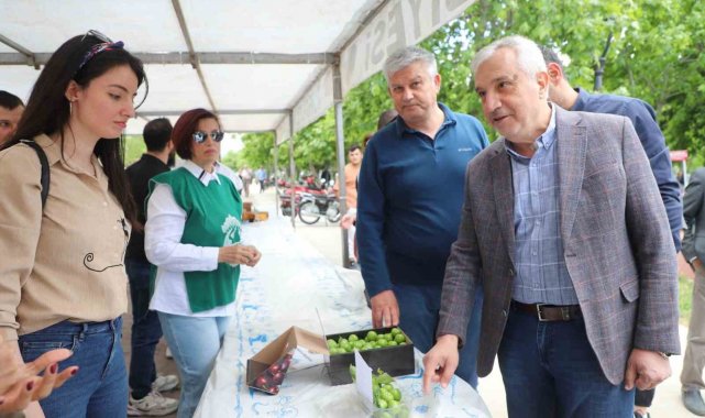Turgutlu'da en güzel Dumanlı Papaz Eriği yarışması düzenlendi