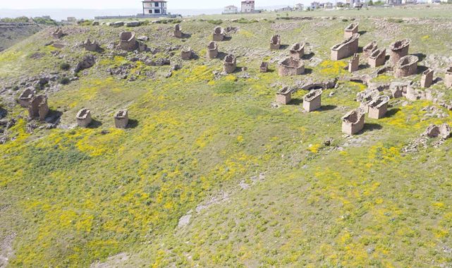 Türkülere konu olan Gesi Bağları koruma altına alınacak