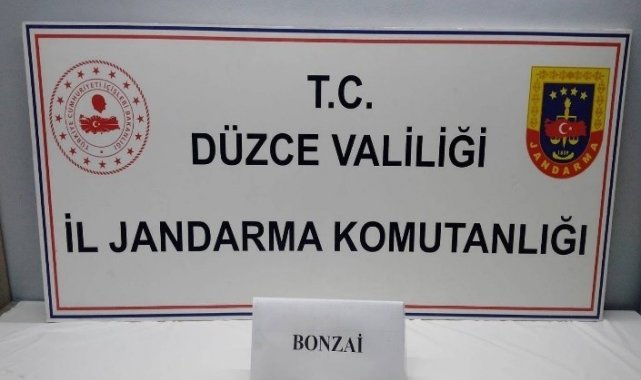 Uyuşturucu kullanan 13 kişi yakalandı