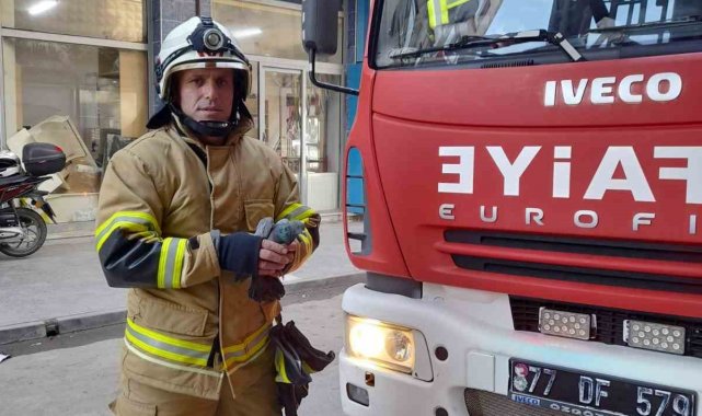 Yalova'da pencere ile sineklik arasında mahsur kalan güvercin kurtarıldı