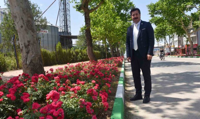 Yenişehir'in vitrininde bahar havası