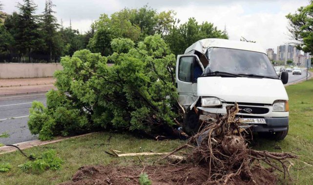 Yoldan çıkan panelvan araç refüjdeki ağaca çarptı: 1'i ağır 2 yaralı