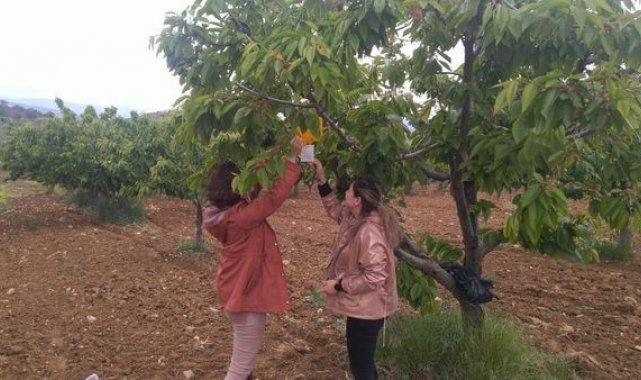 Yoldaş, üreticileri uyardı