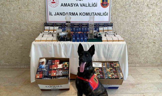 'Çilek'ten kaçak makarona geçit yok