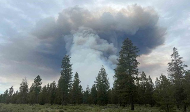 ABD'nin Oregon eyaletinde orman yangını: Bin 700 dönümlük alan kül oldu