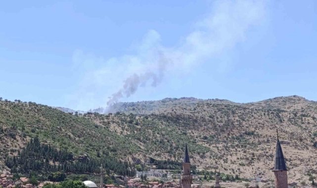 Afyonkarahisar'da ormanlık alanda yangın