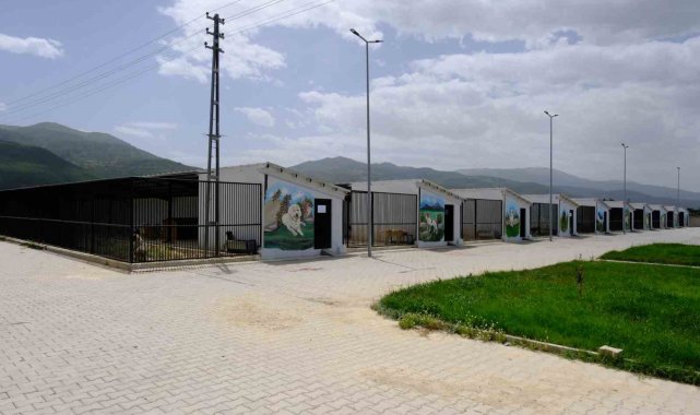 Akşehir Belediyesi'nden Bir Can Bir Yuva projesi
