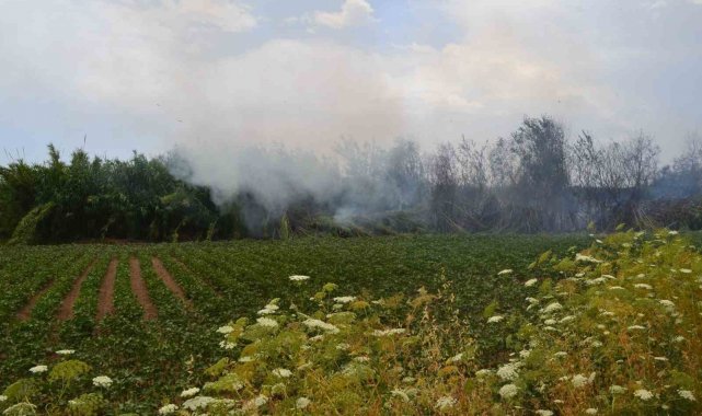 Antalya'da çıkan yangın ağaçlara sıçradı, vatandaş korkuya kapıldı
