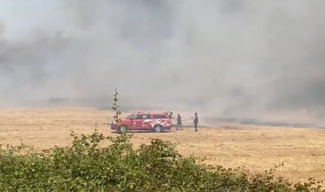 Antalya'da sazlık alan yangını