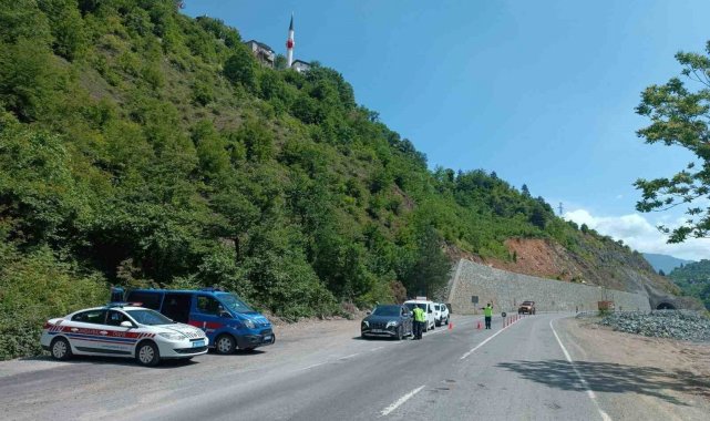 Artvin'de geçen ay 45 sürücü ve 118 araç trafikten men edildi