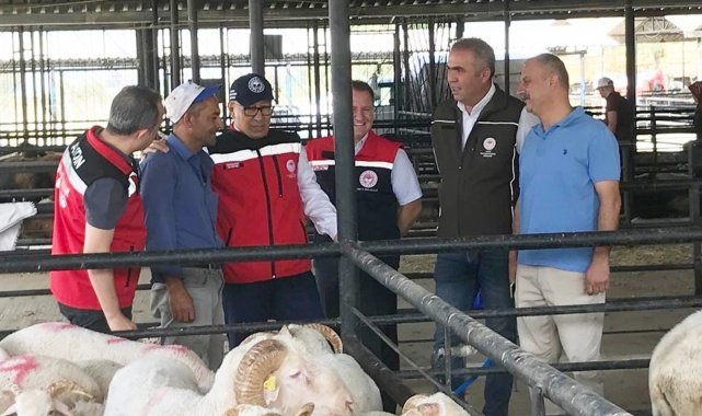 Aydın'da kurban satış yerlerinde sıkı denetim