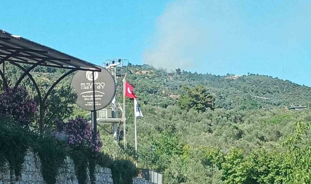 Ayvacık'ta orman yangını