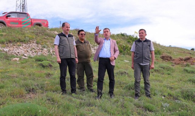 Bayburt'ta bin dekarlık alanda 300 bin fide toprakla buluşturulacak