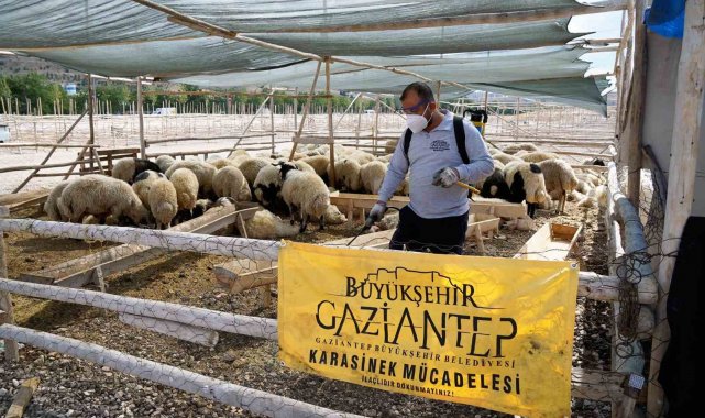 Bayramda yaklaşık 700 personel sahada olacak