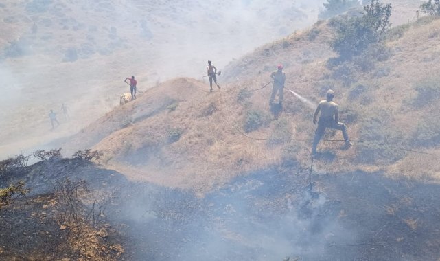Bingöl'de çıkan orman yangını söndürüldü