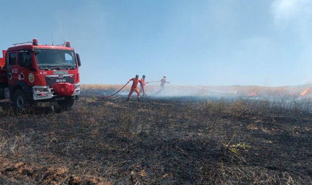 Bingöl'de yaklaşık 100 dönümlük tarım alanı yandı