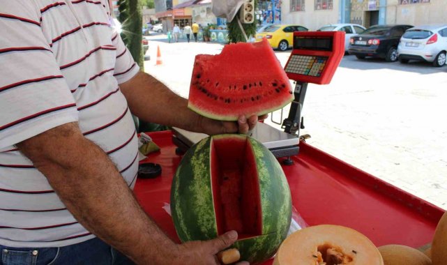 Bunaltıcı sıcaklar vatandaşı sulu meyvelere yönlendirdi